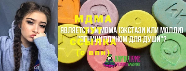 шишки Бородино